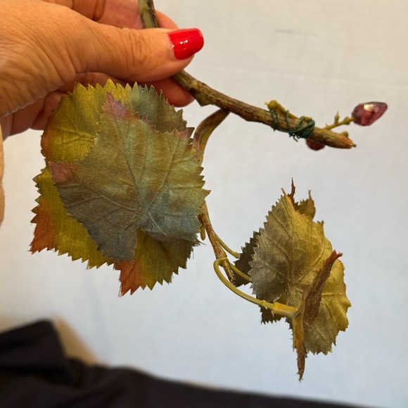 Vines of grapes - Picture 7 of 8